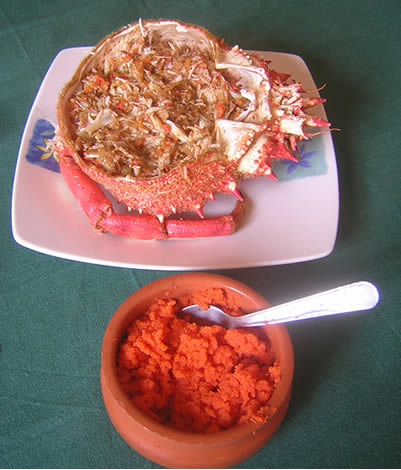 20060302194432-centollo.jpg