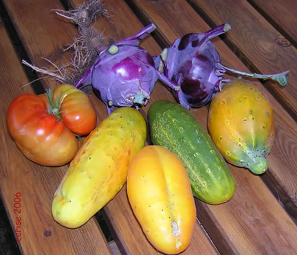 20060714103539-cosecha-rarita.jpg