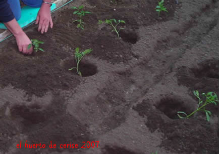 20070326093240-huerto-tomates.jpg