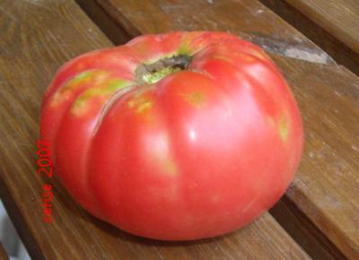 20070915185937-tomatekilo.jpg