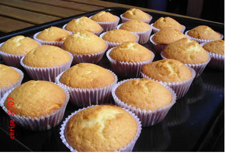 20070926152840-madeleines.jpg