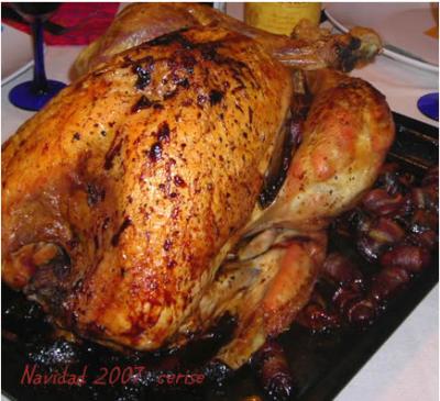 20071227201712-pavonavidad.jpg