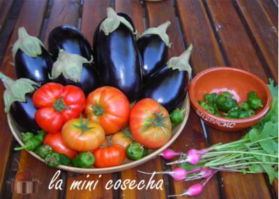 20080625090617-minicosecha.jpg