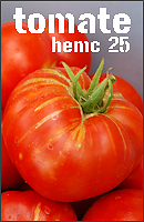 20080803192554-25tomate.jpg