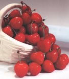 cerezas.jpg